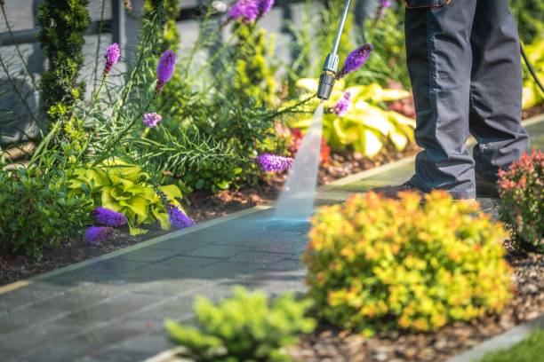 Winterizing Services in Bonanza, GA